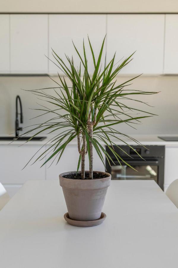 La Dolce Vita - Sunny Penthouse Trastevere Station 100Sqm Roma Esterno foto